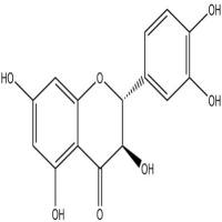 花旗松素480-18-2