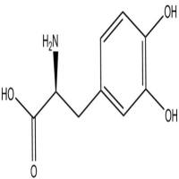 左旋多巴59-92-7