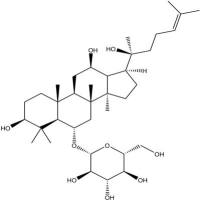 人参皂苷Rh163223-86-9