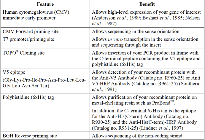 pcDNA5/FRT/V5-His-TOPO
