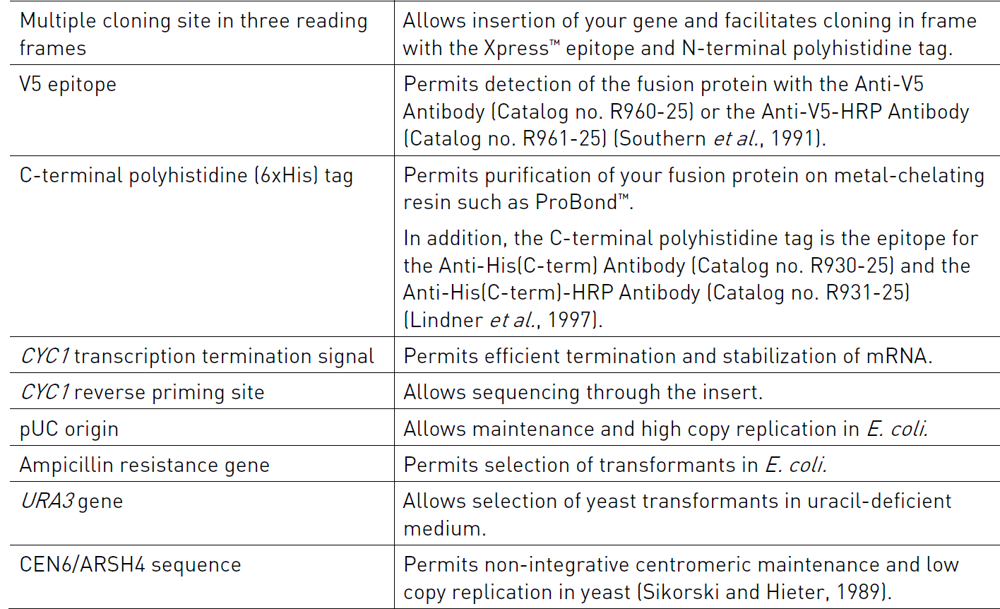 pYC2/NT A 载体特征2