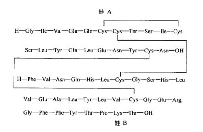 重组人胰岛素,11061-68-0