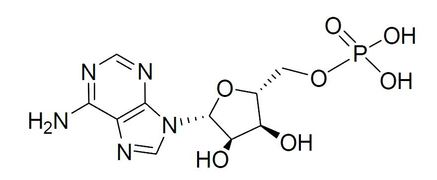 一磷酸腺苷钠