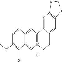 小檗红碱(盐酸盐)15401-69-1
