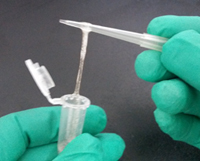 全能核酸酶实例1