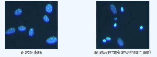 产品细节图片1