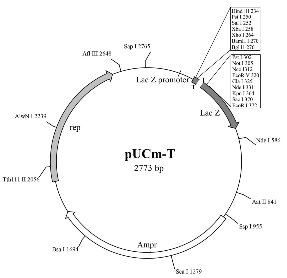 酿酒酵母NMY51感受态细胞