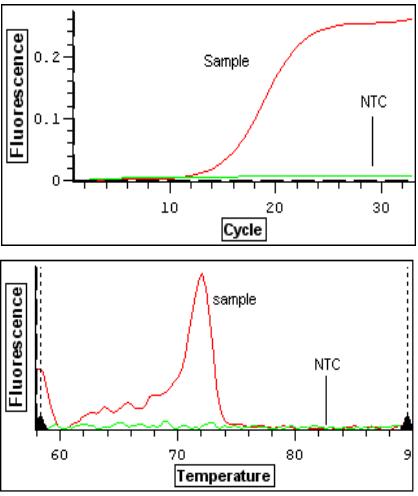 cDNA 样品和 NTC 阴性对照的扩增曲线和融解曲线