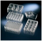 Nunc™ 未经表面处理的多孔培养板