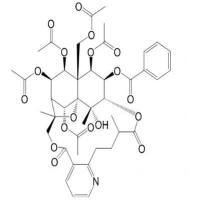 雷公藤次碱11088-09-8