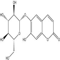 秦皮甲素531-75-9