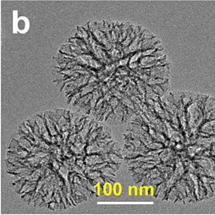 介孔二氧化硅纳米颗粒