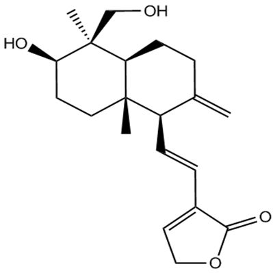 脱水穿心莲内酯42895-58-9