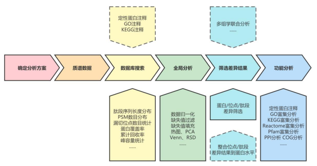 乳酸化蛋白质组