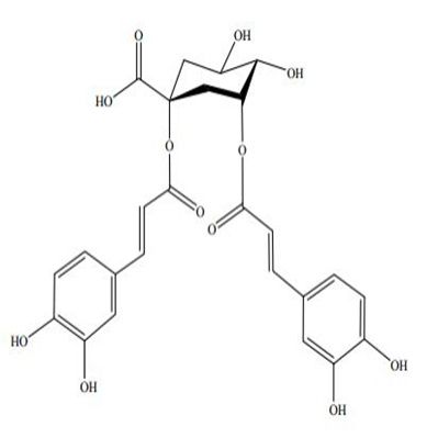 1,3-0-二咖啡酰奎宁酸19870-46-3