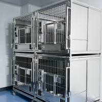 大中小型动物实验