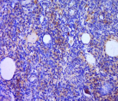 产品细节图片14