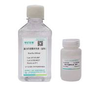 蛋白印迹膜再生液(抗体剥离液)