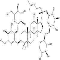 人参皂苷Rb368406-26-8