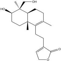 去氧穿心莲内脂79233-15-1