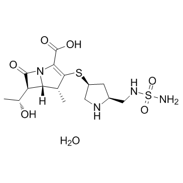 Doripenem monohydrate结构式