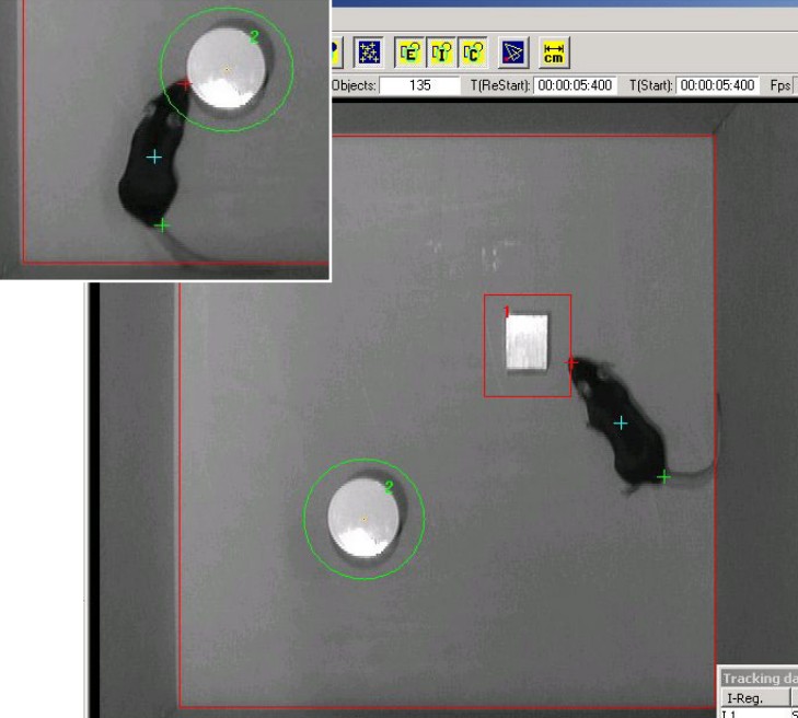 小鼠新物体识别箱系统