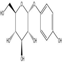 α-熊果苷84380-01-8