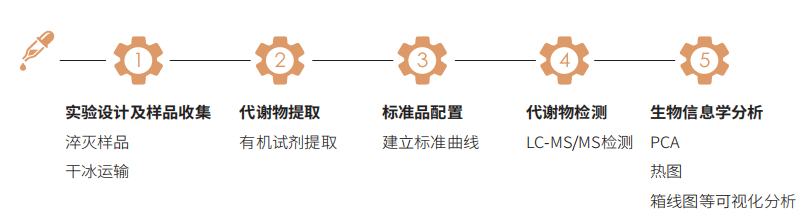 水溶性维生素技术路线