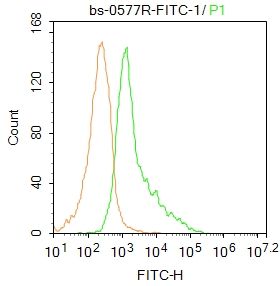 FITC标记的白介素2受体a链/IL-2RA抗体