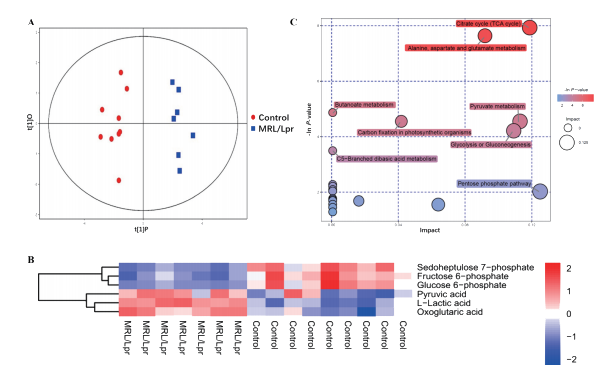 中心碳代谢组分析显示