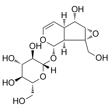 是一种环烯醚萜苷,具有神经
