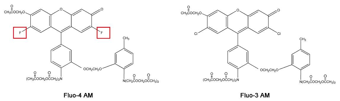 Fluo-4 AM和Fluo-3 AM的结构式