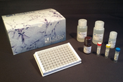 Human FST / Follistatin ELISA 