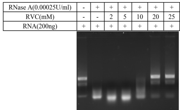 HegG2抑制剂(Megestrol Acetate)