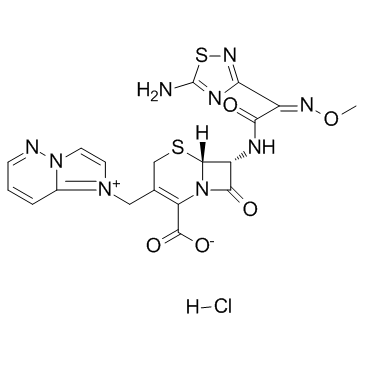Cefozopran hydrochloride结构式