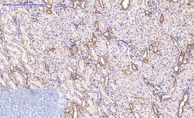 产品细节图片11