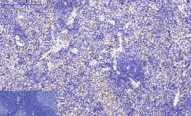 产品细节图片10