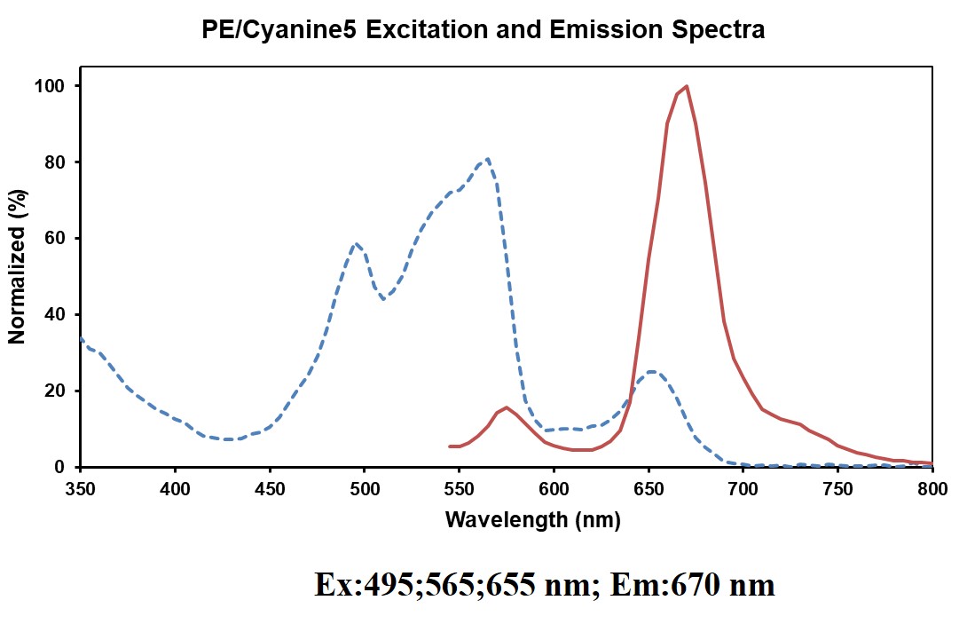 PE/Cyanine5 Anti-Mouse TCRβ An