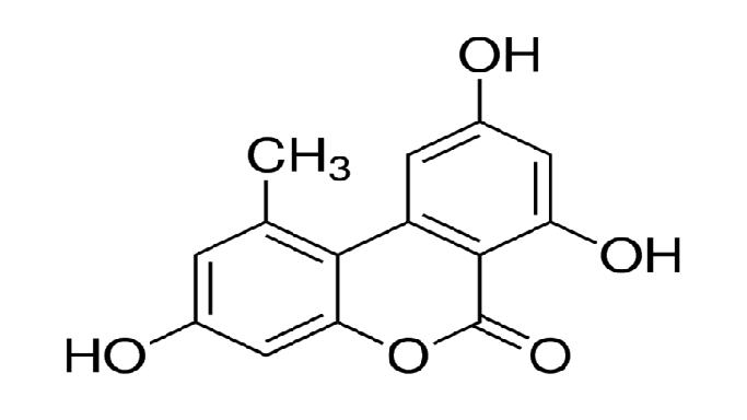 交链孢酚结构式
