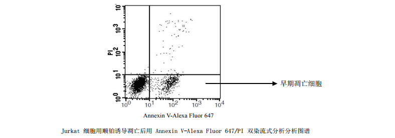 AnnexinV Alexa Fluor647/PI 凋亡检