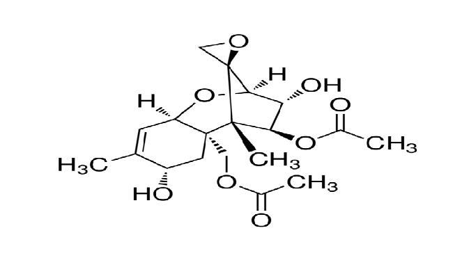 新茄病镰刀菌烯醇结构式