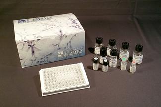 Human IRF1 / MAR ELISA Kit (Cu