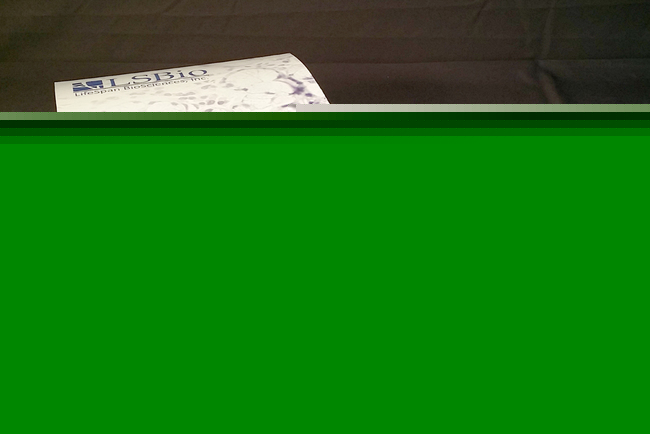 Bovine IL5 ELISA Kit (Sandwich