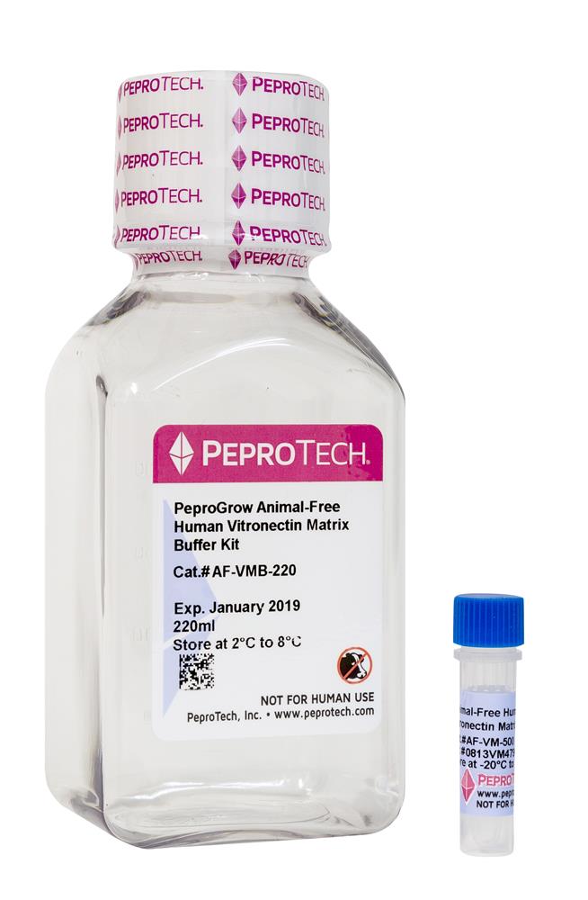 Vitronectin Matrix and Buffer Kit