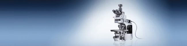 日本奥林巴斯OlympusBX63 自动荧光显微镜