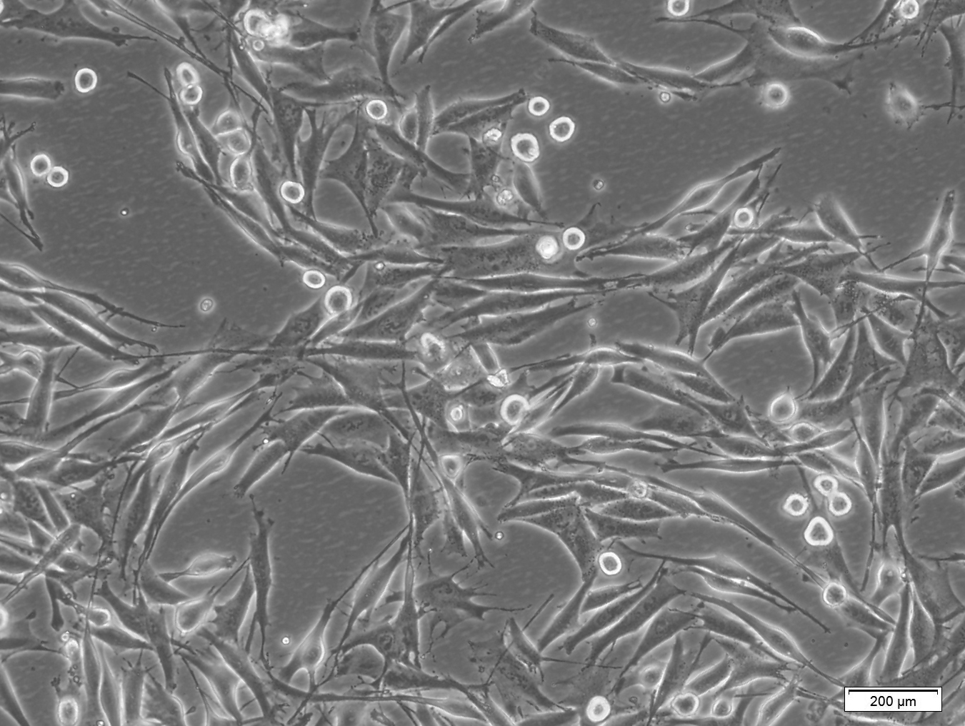 产品细节图片11