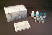Human IRF1 / MAR ELISA Kit (Cu