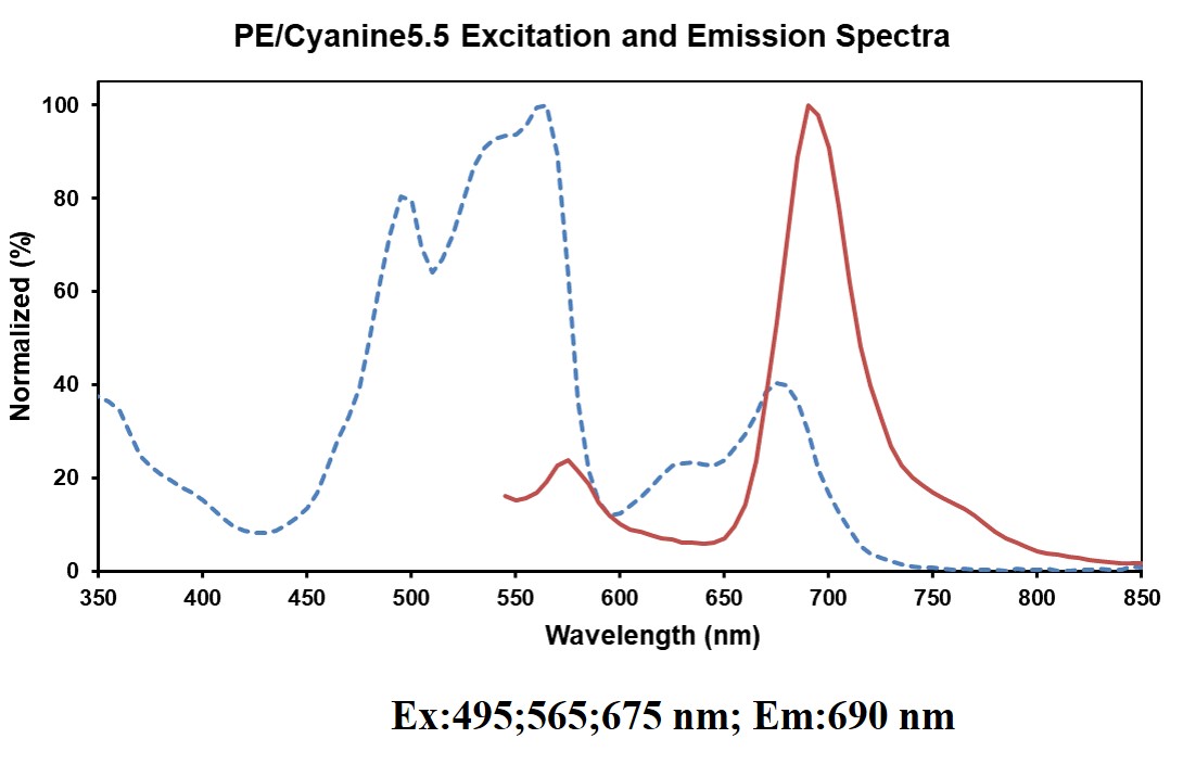 PE/Cyanine5.5 Anti-Human CD38 