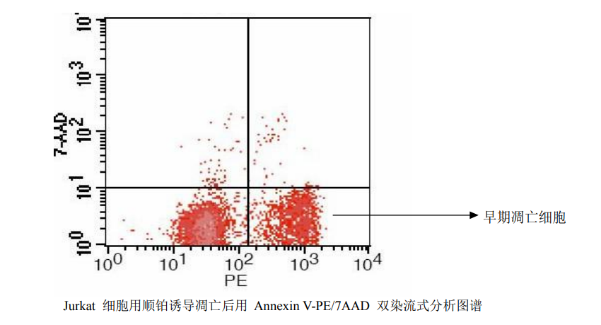 Annexin V PE/7-AAD 凋亡检测试剂盒