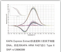 KAPA 高分辨率溶解曲线试剂，KAPA HRM FAST